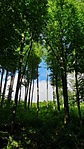 2020-06-06 16.30.09R
