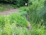 IMG_20200617_052503