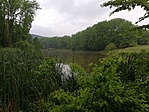 IMG_20200617_053419