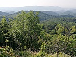 IMG_20200629_082541