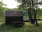 IMG-9319