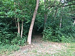 IMG-9320
