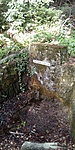 IMG_20200530_095826