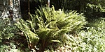 IMG_20200530_101828
