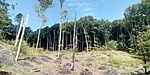 IMG_20200530_101654