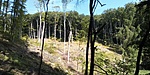 IMG_20200530_101526