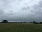 IMG_2428