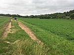 IMG_2436