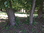 20200616_121328