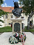 IMG_0552
