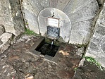 IMG_8482