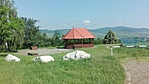 IMG_20200628_093018