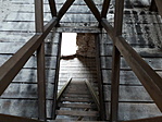 20200622_133209