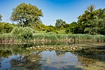 _DSC1663