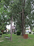 IMG_6535
