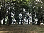 IMG_1197