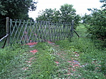 DSC00017