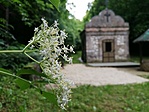IMG_20200606_142248