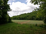 IMG_20200606_142523
