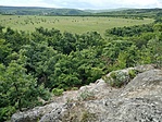 IMG_20200601_123535