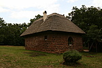 IMG_9811