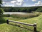 IMG_3321