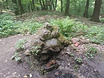 Jézus-forrás