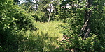 IMG_20200624_135057_1