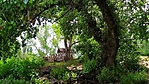 IMG_20200604_122830