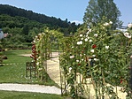 DSC00443