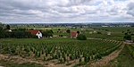 20200601_110723_HDR