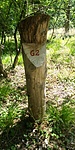 20200607_105015_HDR