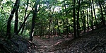 20200628_090313