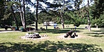 20200628_105125