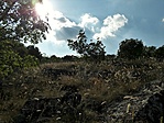 20200628_171302