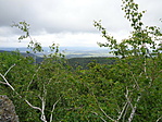 DSC03900