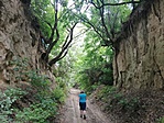 IMG_20200606_131510