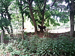 IMG_20200618_135752