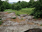 IMG_20200601_141420