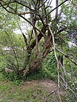 IMG_20200601_174118