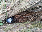 IMG_20200601_174139
