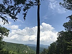 IMG_5931