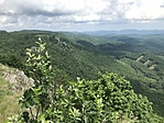 IMG_5946