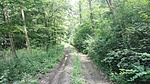 IMG_20200614_110726