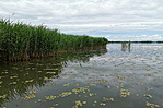 IMG_20200606_112855