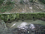 P6115533