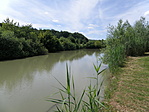P6125646