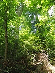 P6125654