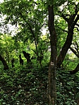 IMG_20200601_162913