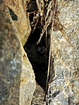 IMG_20200606_101319